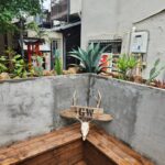 【法人・管理会社向け】南大阪・泉州エリアのマンション・工場における植栽の年間管理